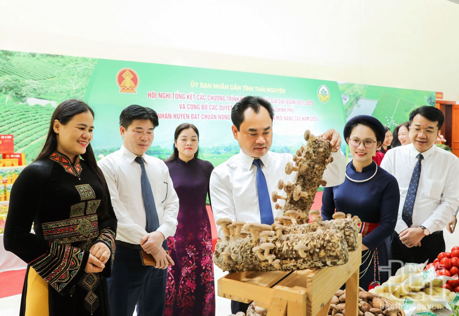 Tổng kết các chương trình mục tiêu quốc gia giai đoạn 2021-2025