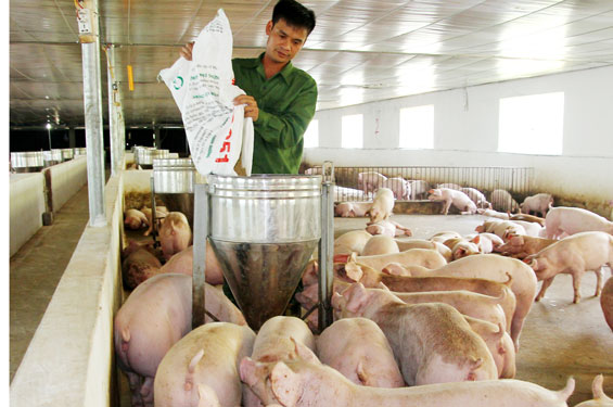 Hỗ trợ thanh niên lập nghiệp