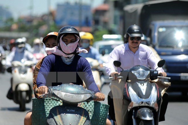 Cây xanh đổ do ảnh hưởng của bão số 1. (Nguồn: TTXVN)