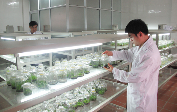 Thống nhất chương trình hợp tác về khoa học công nghệ