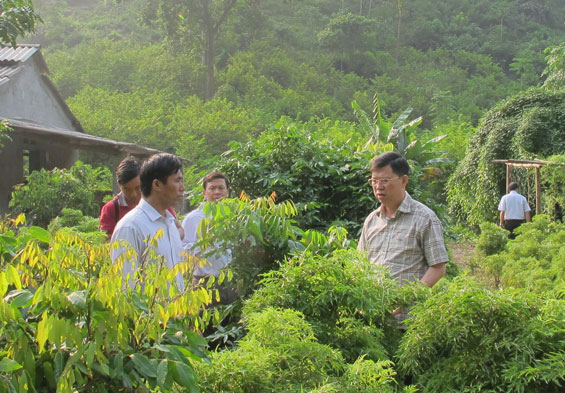 Hứa hẹn nhiều nét mới tại kỳ họp cuối năm