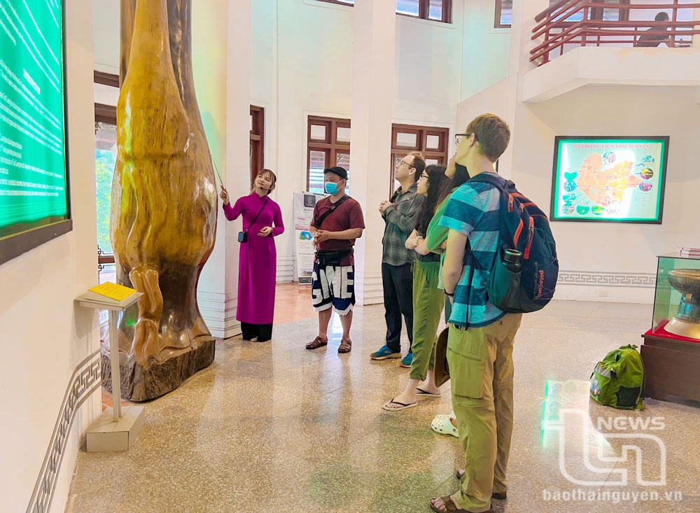 Một ngày với “Đệ nhất danh trà”