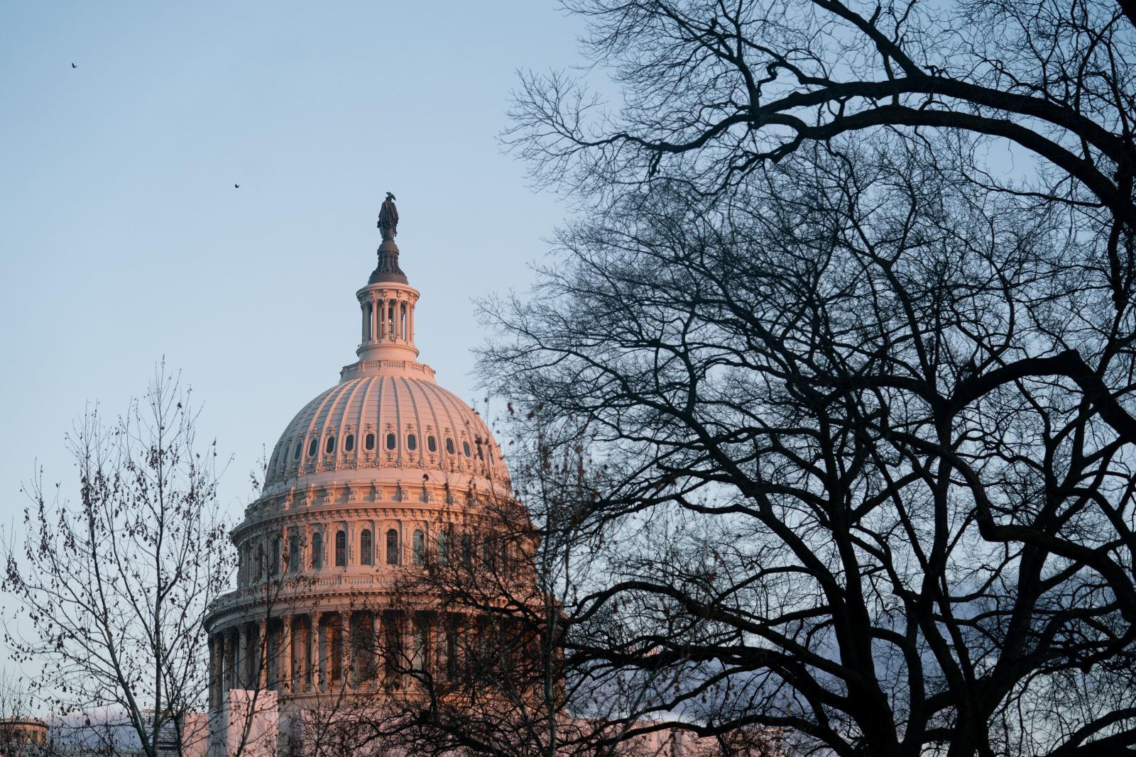 Bầu cử Mỹ 2024: Sự bình lặng trước 