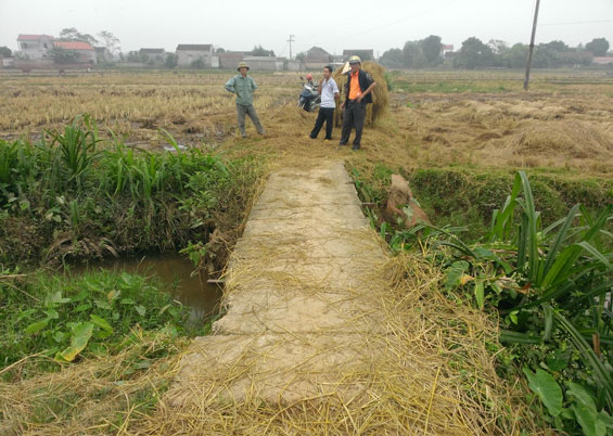 Nỗi niềm người dân tổ dân phố Nguyễn