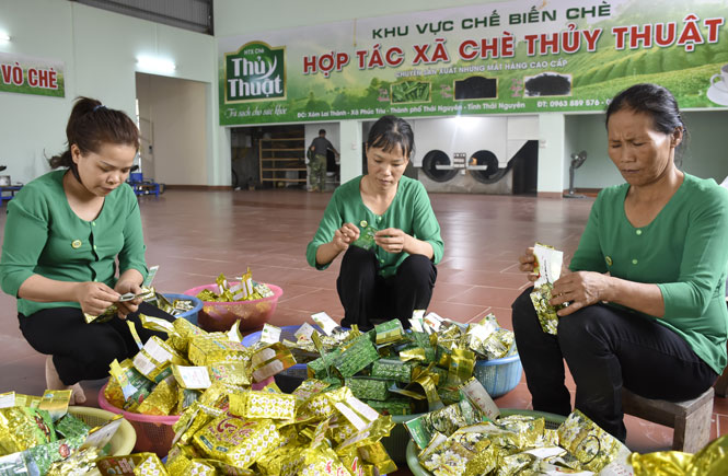 Đẩy mạnh liên kết sản xuất và tiêu thụ sản phẩm nông sản sạch 
