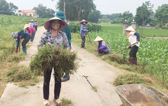 Ngày Chủ nhật xanh: Việc làm nhỏ, ý nghĩa lớn 