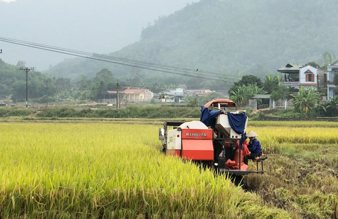 Không giảm nghèo theo phong trào 