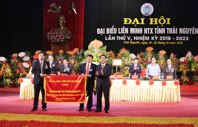 Tiếp tục quan tâm, hỗ trợ, thúc đẩy kinh tế tập thể phát triển 