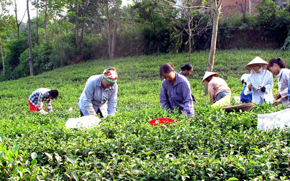 Công nhận mới 28 làng nghề, làng nghề truyền thống