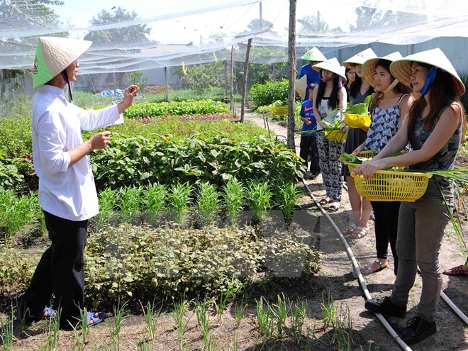 Phát động tháng tuyên truyền cao điểm về vệ sinh an toàn thực phẩm
