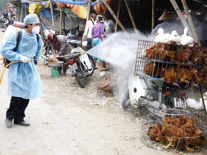 Công bố hai ổ dịch cúm gia cầm H5N6 đầu tiên của năm 2016