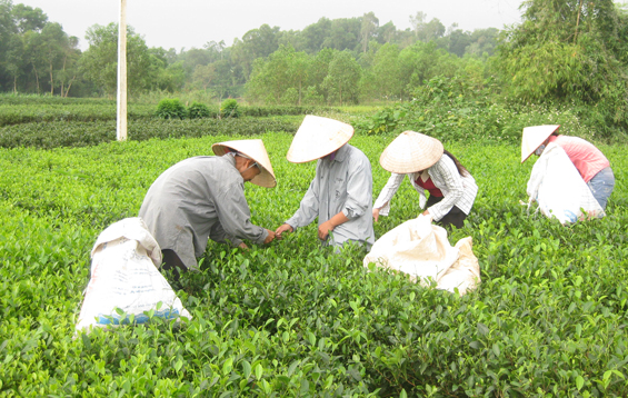 Hiệu quả từ việc ứng dụng công nghệ mới