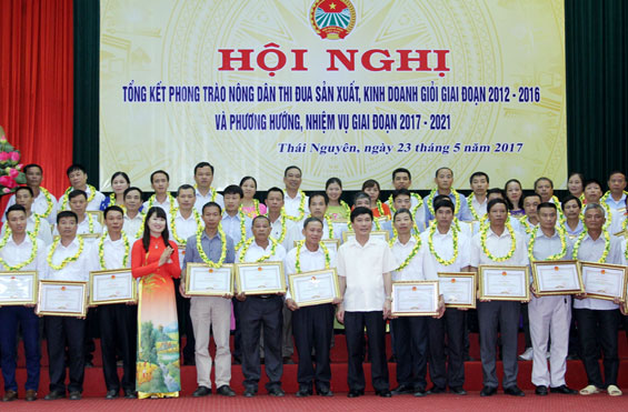 Tổng kết phong trào Nông dân thi đua sản xuất, kinh doanh giỏi