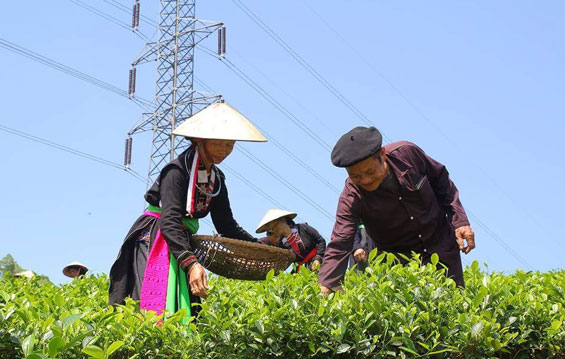 Sức vươn của một vùng quê cách mạng