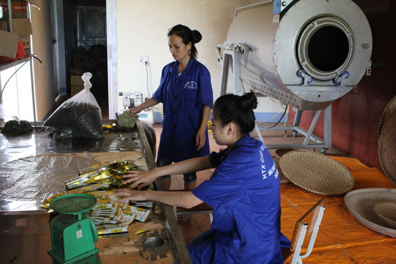 Toàn tỉnh có hơn 30 mô hình HTX điển hình tiên tiến