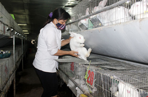 Hỗ trợ doanh nghiệp khởi nghiệp: Những khó khăn nhìn từ góc độ ngân hàng
