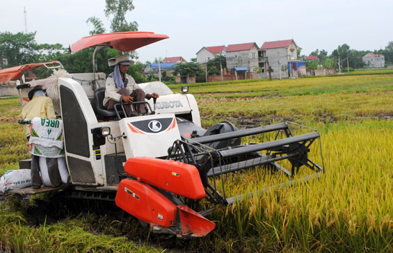 Niềm vui mùa gặt