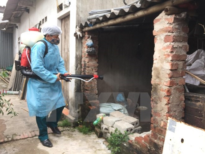 Dịch sốt xuất huyết đã giảm trên địa bàn thành phố Hà Nội