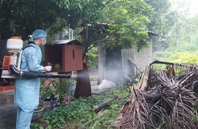 Tăng cường phòng chống sốt xuất huyết trong mùa dịch 