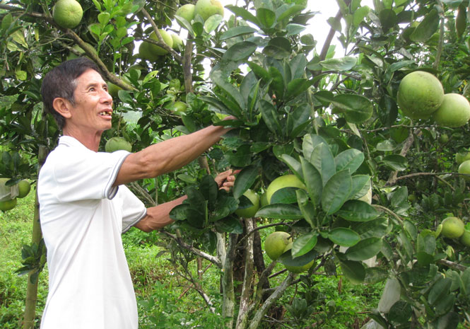 Lấy sức dân để làm lợi cho dân 