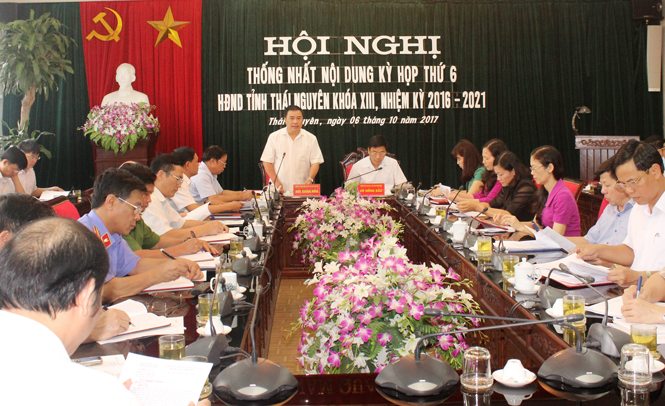 Thống nhất nội dung và công tác chuẩn bị cho kỳ họp thứ 6 HĐND tỉnh 