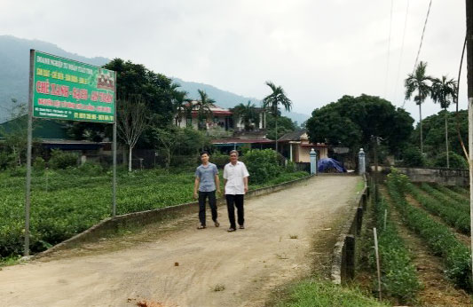 “Trẻ hóa” đảng viên - Việc không dễ ở Phú Xuyên 