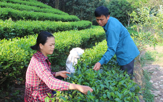 Những người “vác tù và” thầm lặng