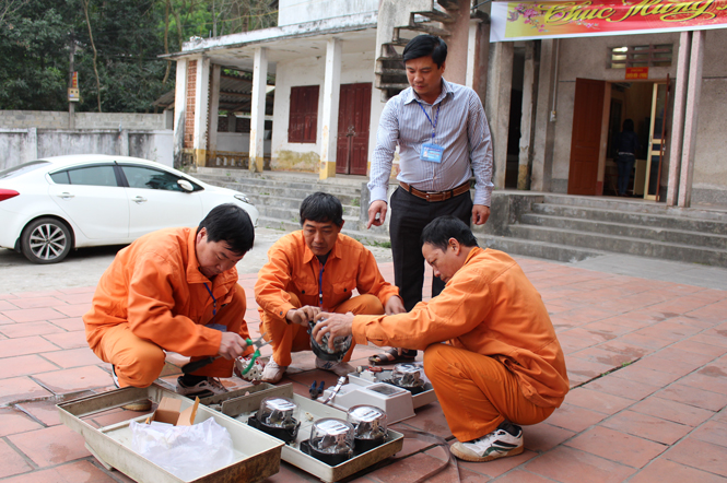 Phát triển Đảng trong khu vực kinh tế tập thể: Khó nhưng vẫn có lời giải 