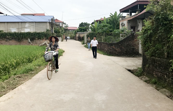 Trọn bổn phận đạo - đời: Khi đảng viên người công giáo trở thành lực lượng cốt cán 