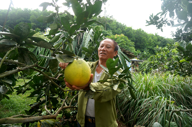 Khi năng lực lãnh đạo của chi bộ được phát huy 