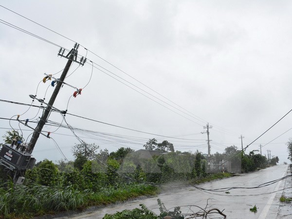 EVN đã khôi phục hoàn toàn lưới điện truyền tải 200kV và 500kV
