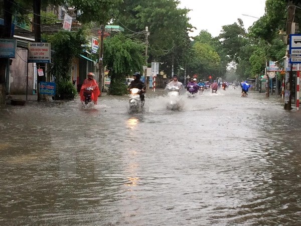 Cơn bão số 12 gây thiệt hại nặng nề tại các tỉnh Trung Bộ