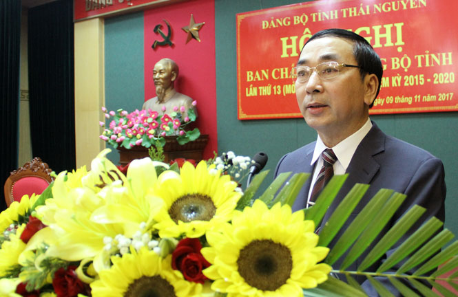 Tập trung cho ý kiến vào việc thực hiện đổi mới, sắp xếp tổ chức bộ máy 