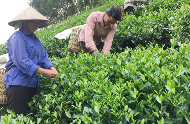 Huy động sự chung sức, đồng lòng của nhân dân 