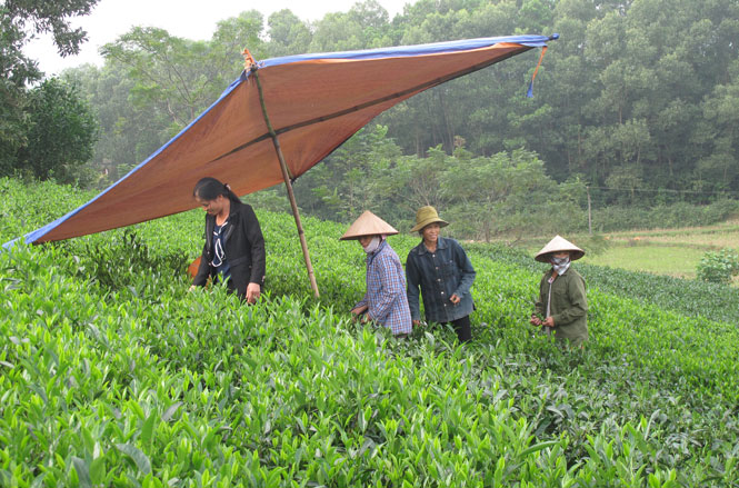Phụ nữ xã Quyết Thắng với phong trào 