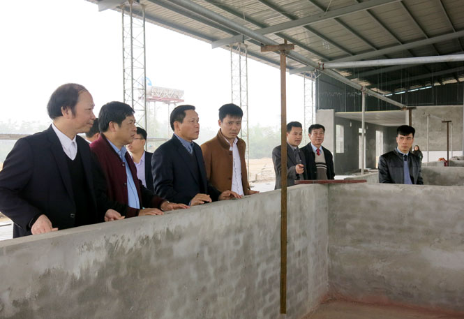 Cần có giải pháp đồng bộ trong kiểm soát giết mổ động vật 