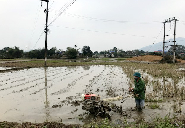Ứng dụng khoa học kỹ thuật vào sản xuất vụ xuân 