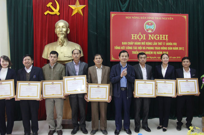 Hội Nông dân tỉnh: Phấn đấu kết nạp mới 4.500 hội viên 