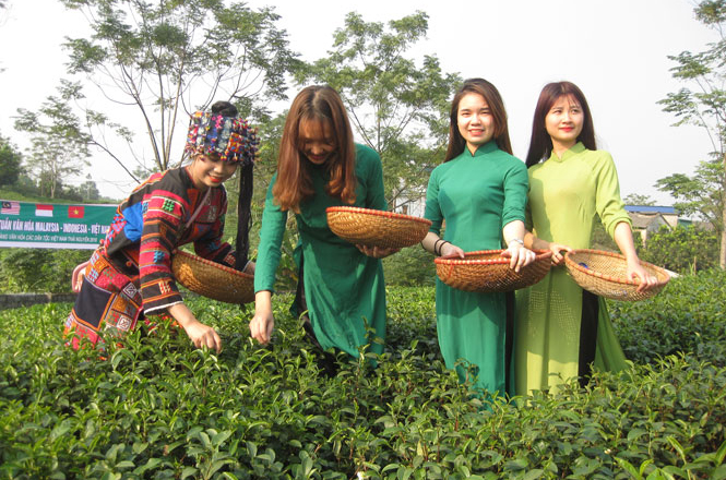 Lộc đời 