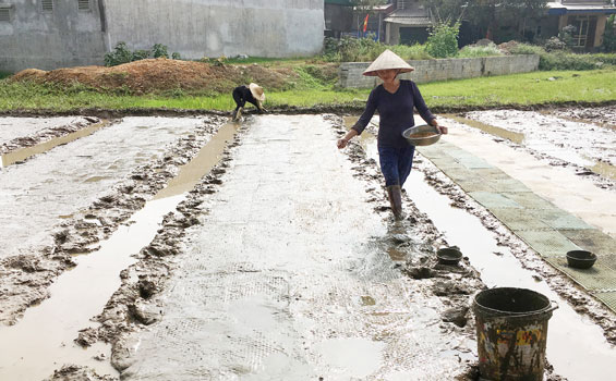 Tích cực chuẩn bị sản xuất vụ mùa