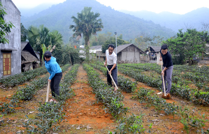 Tình nguyện lên đường mùa Xuân
