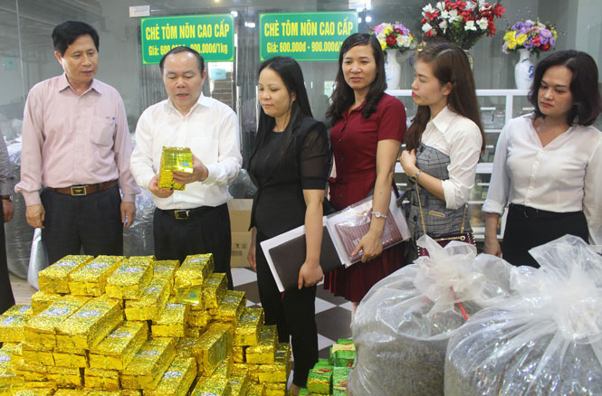 Đoàn công tác Liên minh của Hợp tác xã Việt Nam làm việc tại Thái Nguyên 