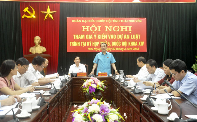 Tham gia ý kiến vào các dự án luật 