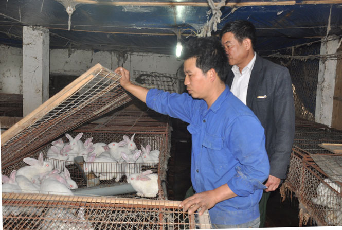 Đầu tư cho sản xuất nông nghiệp 