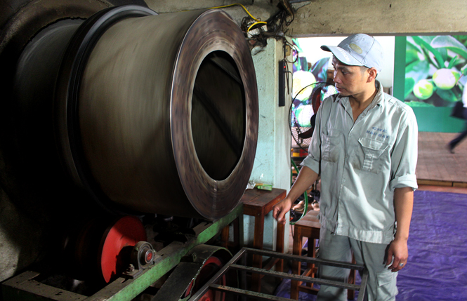 Nâng cao chất lượng trong sản xuất chè an toàn 