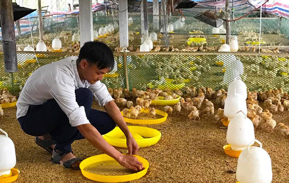 Khi thanh niên vươn lên làm giàu