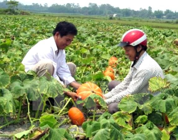 Phát động cuộc thi báo chí về nông thôn mới-tái cơ cấu nông nghiệp