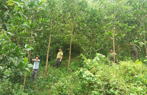 Không chủ quan với 