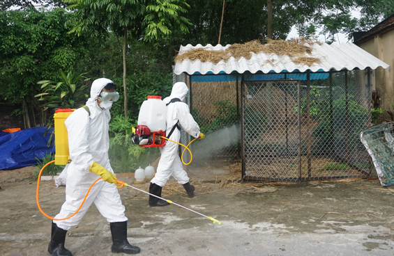 Cảnh giác với dịch cúm A/H7N9