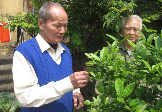 Chuyện người trở về từ “địa ngục trần gian” 